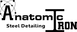Anatomic Iron Steel Detailing logo